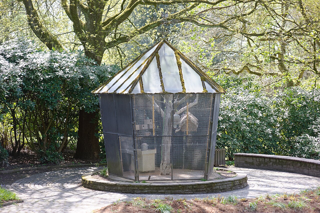 Tropenhaus and display glasshouses of the Solingen Botanical Garden (Botanischer Garten Solingen), Solingen, North Rhine-Westphalia