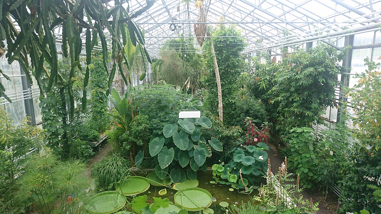 Tropenhaus and glasshouses of the St. Gallen Botanical Garden, St. Gallen, Canton of St. Gallen