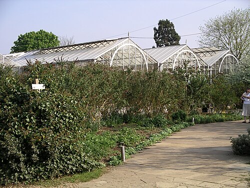 Stratford Butterfly Farm (Rainforest Flight Area), Stratford-upon-Avon, Warwickshire