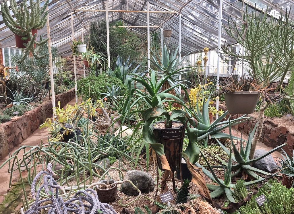 Schaugewächshäuser des Smith Building (Boyce Thompson Arboretum), Superior, Arizona