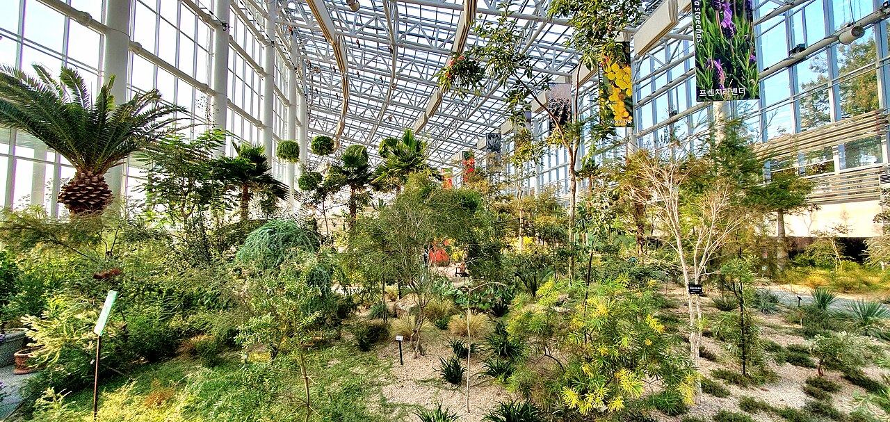 Schaugewächshaus, Arboretum Ilwol (일월수목원 전시온실), Suwon (Jangan-gu), Gyeonggi