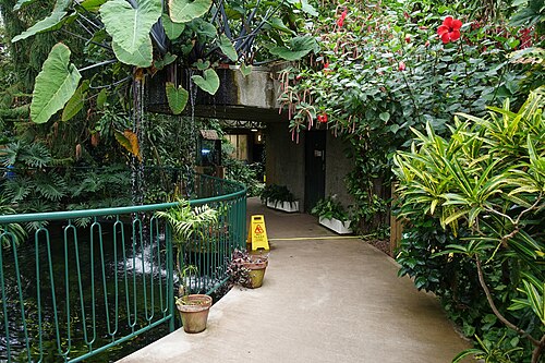 Plantasia (Plantasia Tropical Zoo), Swansea, Wales
