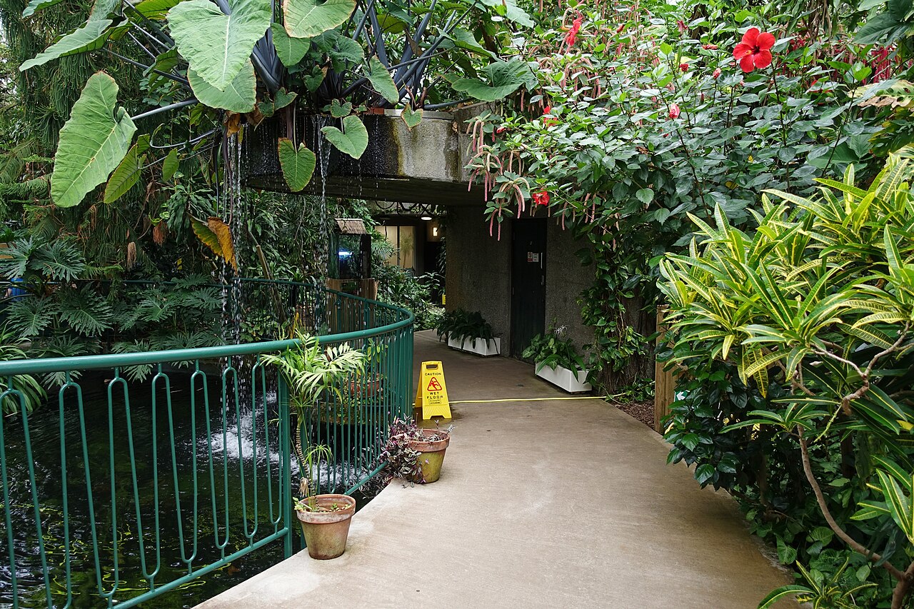 Plantasia (Plantasia Tropical Zoo), Swansea, Wales