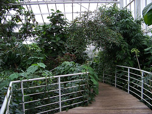 Tropicana-Gewächshaus, Botanischer Garten Teplice (skleník Tropicana), Teplice