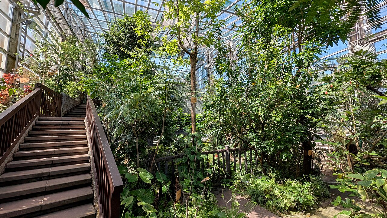 Großes Gewächshaus, Adachi Park of Living Things (足立区生物園 大温室), Adachi, Tokio