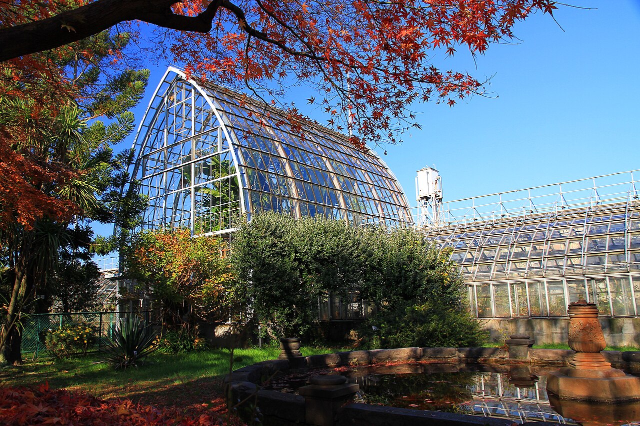 Öffentliches Gewächshaus des Botanischen Gartens Koishikawa (小石川植物園 公開温室), Bunkyō, Tokio