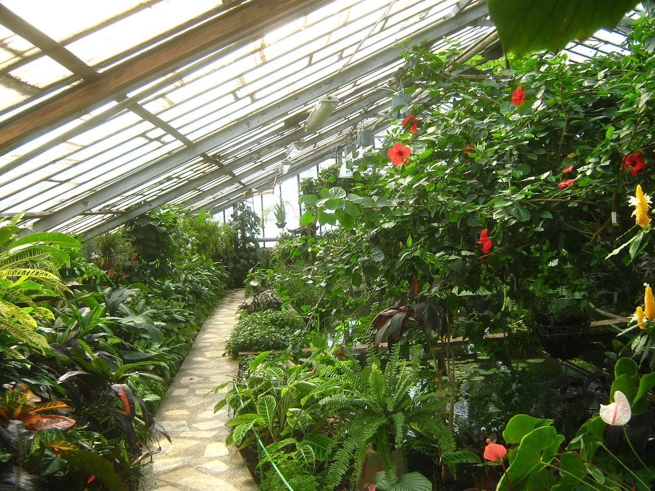 Orangeries du Jardin botanique sibérien (Université d'État de Tomsk), Tomsk