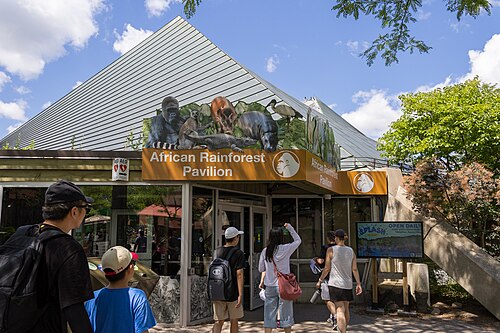 Pavillon des Afrikanischen Regenwalds (Toronto Zoo), Toronto (Scarborough), Ontario
