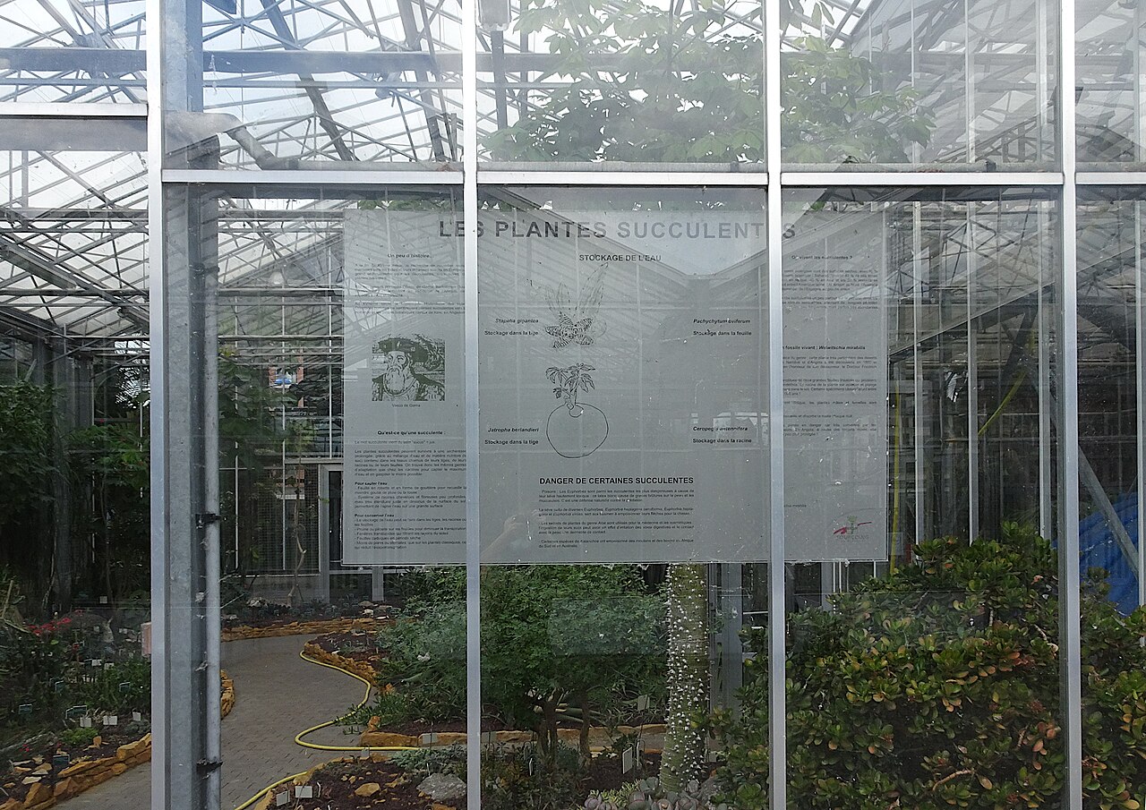 Educational Greenhouses of the Tourcoing Botanical Garden, Tourcoing, Hauts-de-France