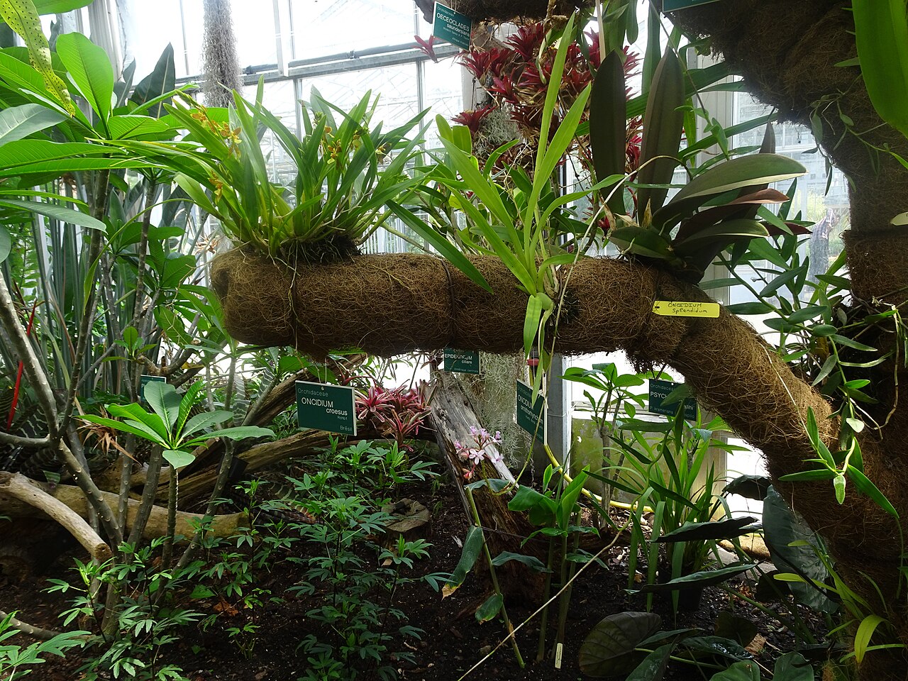 トゥルコワン植物園の教育用温室, トゥルコワン、オー＝ド＝フランス地域圏