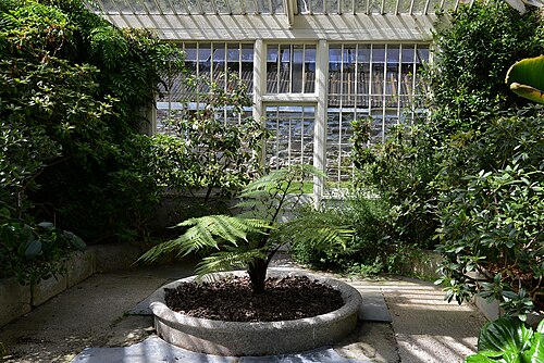 Viktorianische Gewächshausreihe, Tregrehan Garden, Tregrehan, bei Par, Cornwall