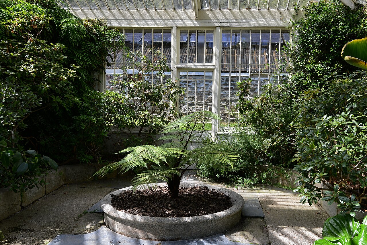 Viktorianische Gewächshausreihe, Tregrehan Garden, Tregrehan, bei Par, Cornwall