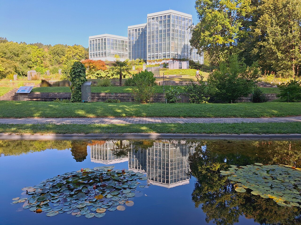 Tropicarium du jardin botanique de l'université de Tübingen, Tübingen, Bade-Wurtemberg