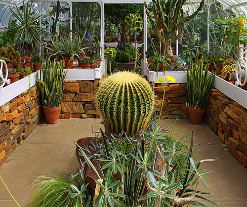 Gewächshaus des Tulsa Garden Center (Woodward Park), Tulsa, Oklahoma