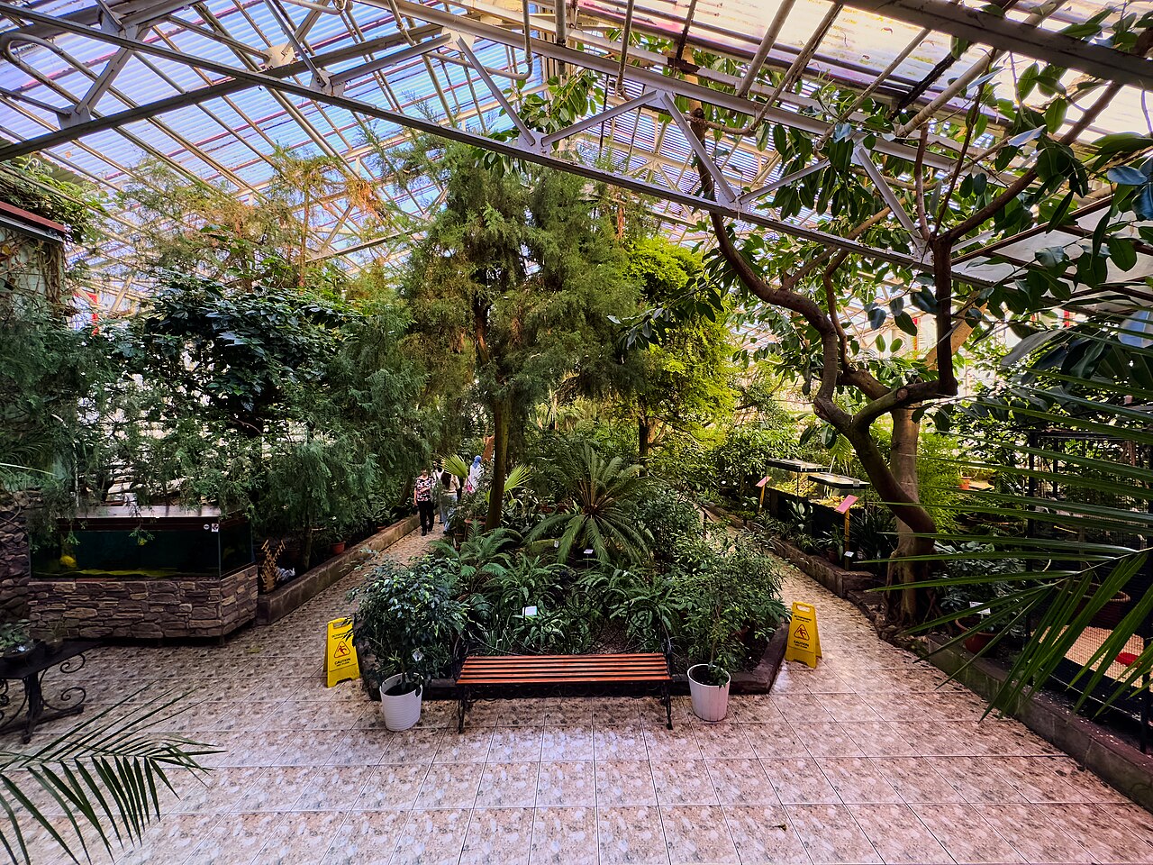 Orangerie du Jardin botanique-institut de l'Oural du Sud (Оранжерея ЮУБСИ), Oufa, Bachkortostan