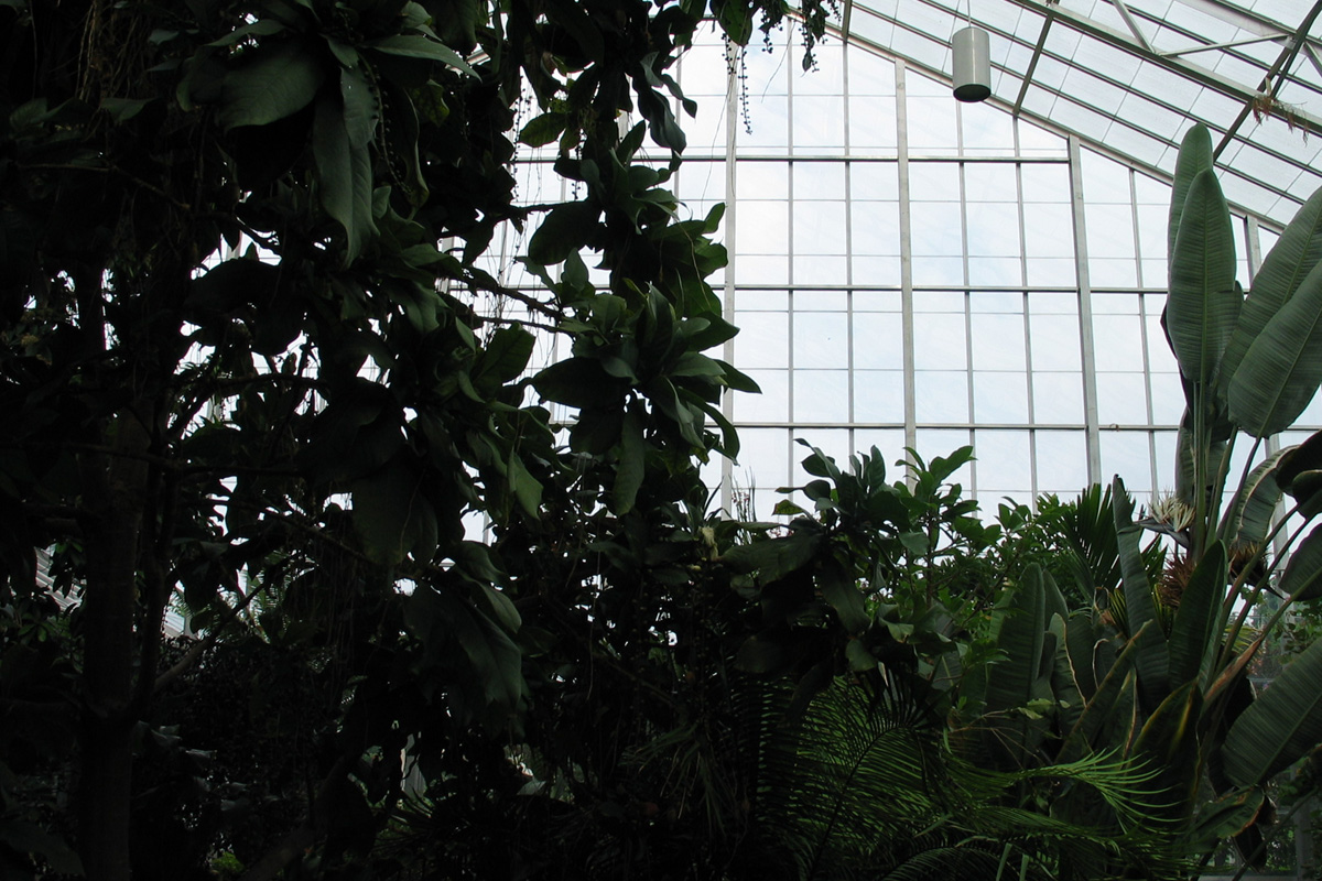 Plant Biology Conservatory (University of Illinois Urbana-Champaign), Urbana, Illinois