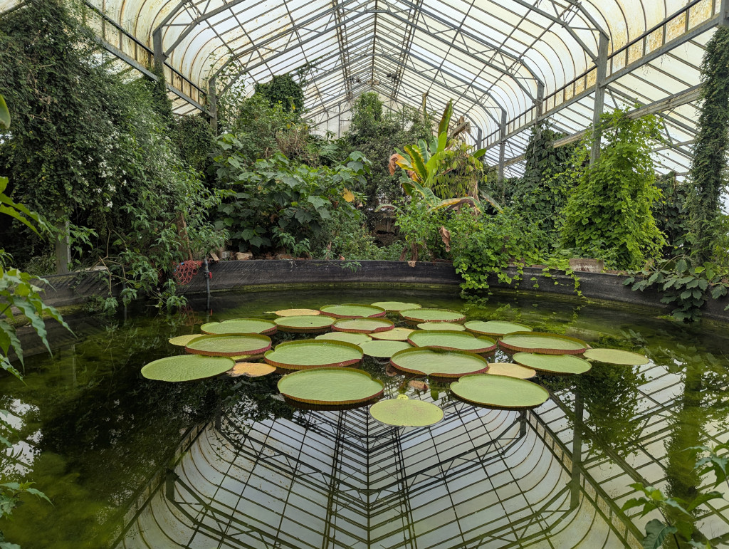 Tropenhaus, Ventnor Botanic Garden, Ventnor, Isle of Wight