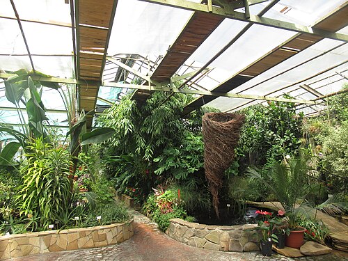 Orangerie des Botanischen Garten-Instituts der Fernöstlichen Abteilung der Russischen Akademie der Wissenschaften (Oranzhereya BSI DVO RAN), Wladiwostok