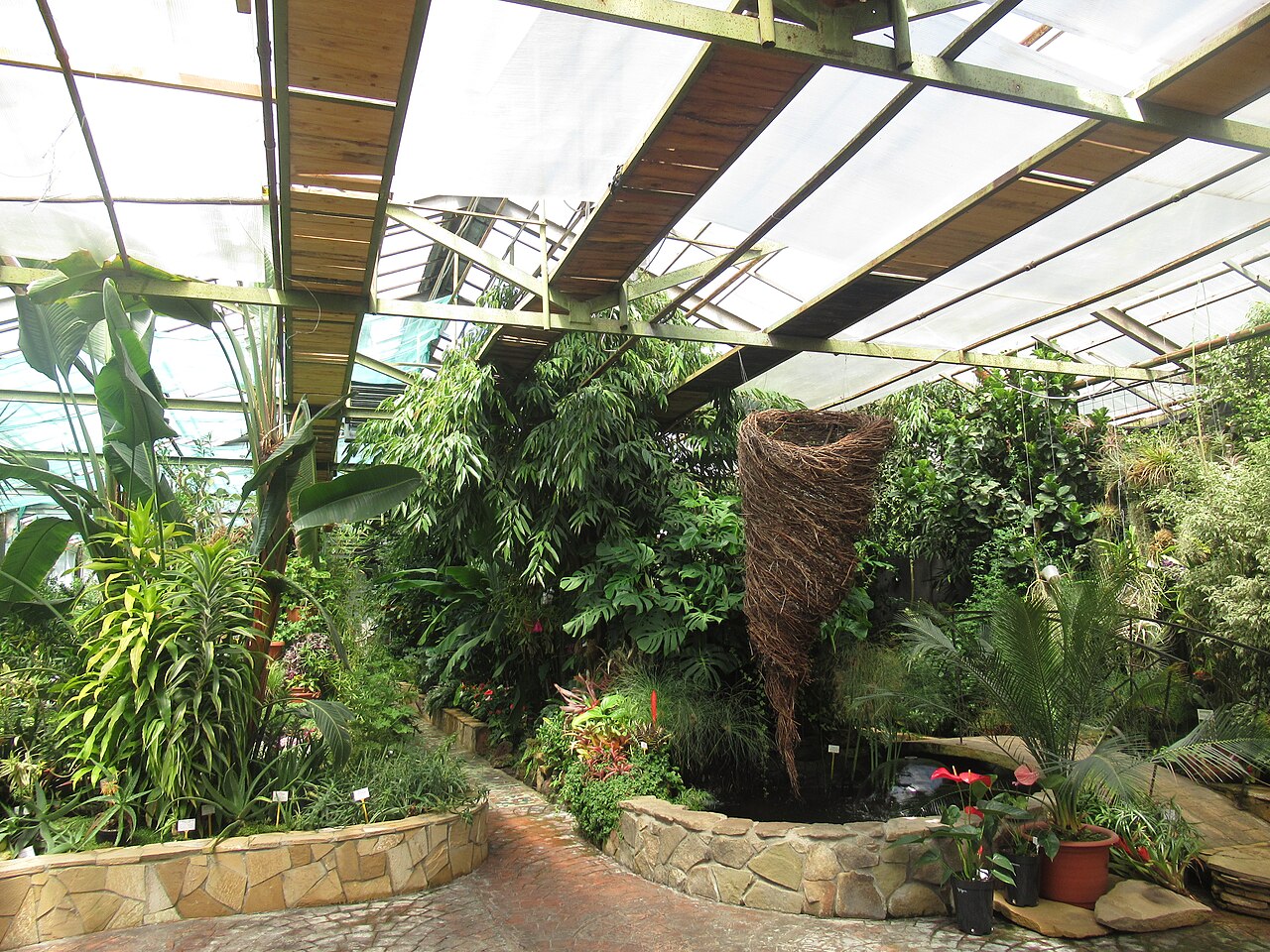Orangerie des Botanischen Garten-Instituts der Fernöstlichen Abteilung der Russischen Akademie der Wissenschaften (Oranzhereya BSI DVO RAN), Wladiwostok, Region Primorje