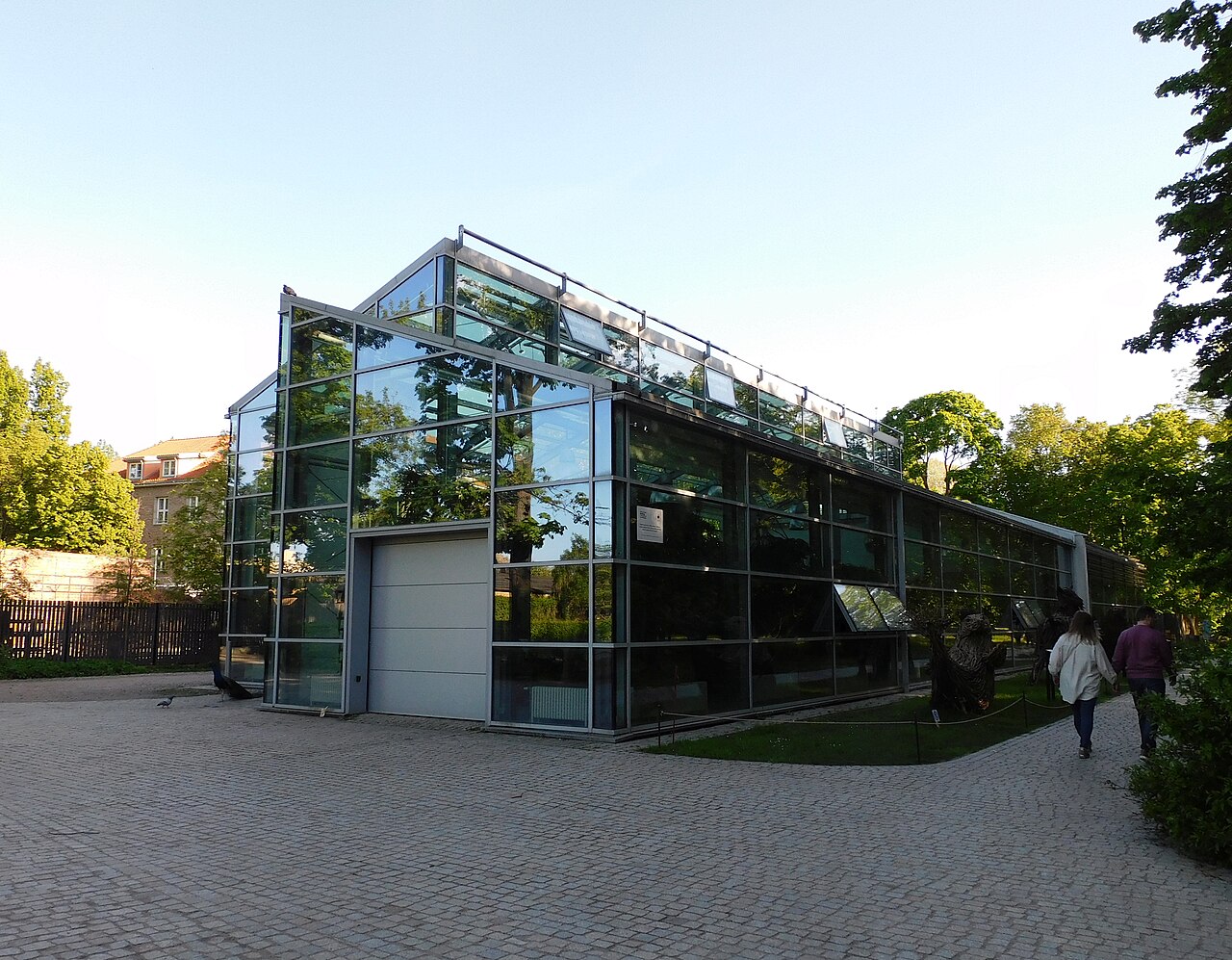 Neues Palmenhaus (Nowa Palmiarnia), Łazienki-Park, Warschau (Łazienki-Park), Masowien