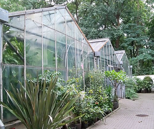 Gewächshäuser und Orangerie des Botanischen Gartens der Universität Warschau (Ogród Botaniczny UW), Warschau
