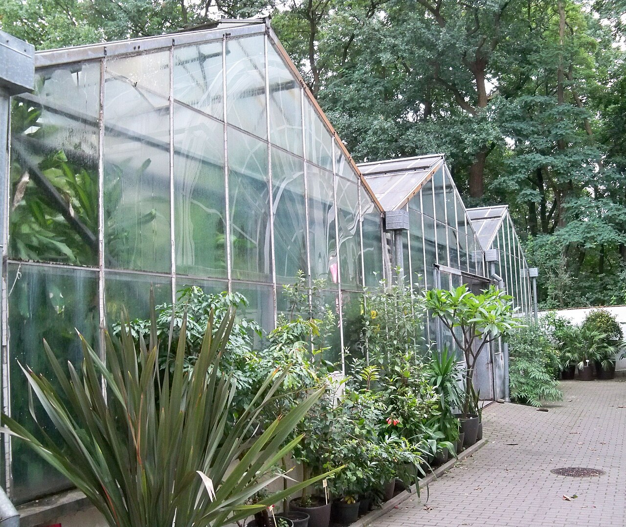 Gewächshäuser und Orangerie des Botanischen Gartens der Universität Warschau (Ogród Botaniczny UW), Warschau, Masowien