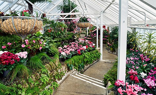 Virginia Lake Winter Gardens (Rotokawau), Whanganui, Manawatū-Whanganui