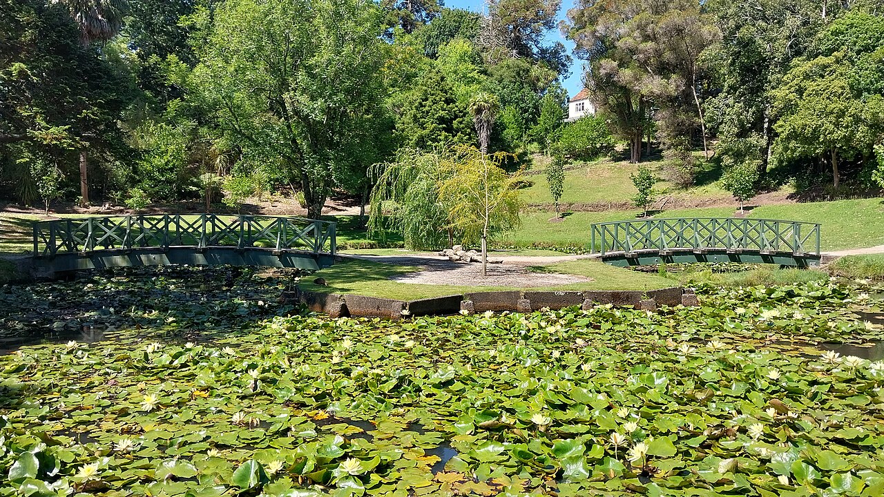 Winter Gardens du lac Virginia (Rotokawau), Whanganui, Manawatū-Whanganui