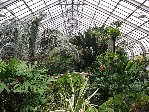 Conservatory de Brookside Gardens, Wheaton, Maryland
