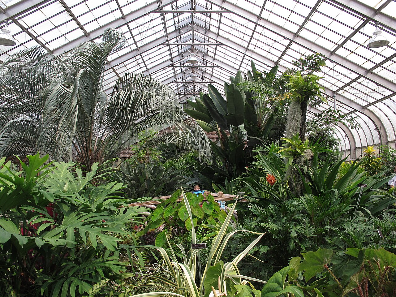 Brookside Gardens Conservatory, Wheaton, Maryland