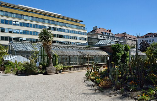 Tropenhaus und Gewächshäuser des Botanischen Gartens der Universität Wien, Wien