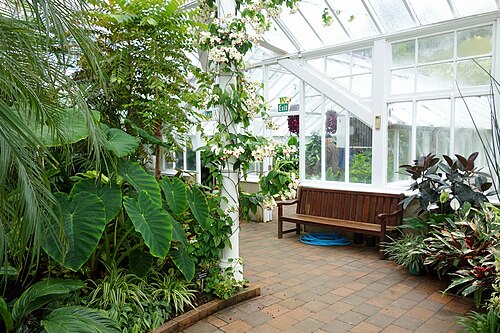 Winter Garden Glasshouse, Dunedin Botanic Garden, Dunedin