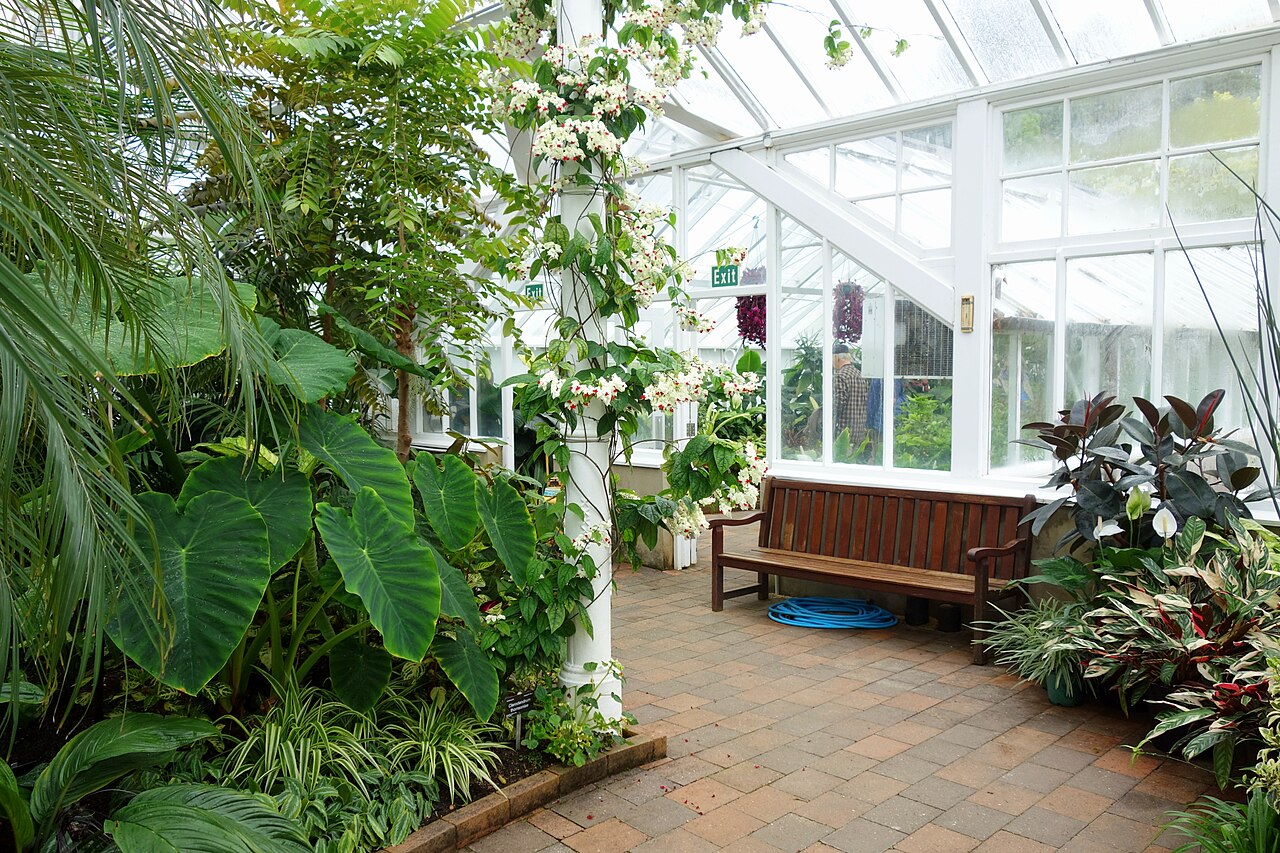 Winter Garden Glasshouse, Dunedin Botanic Garden, Dunedin