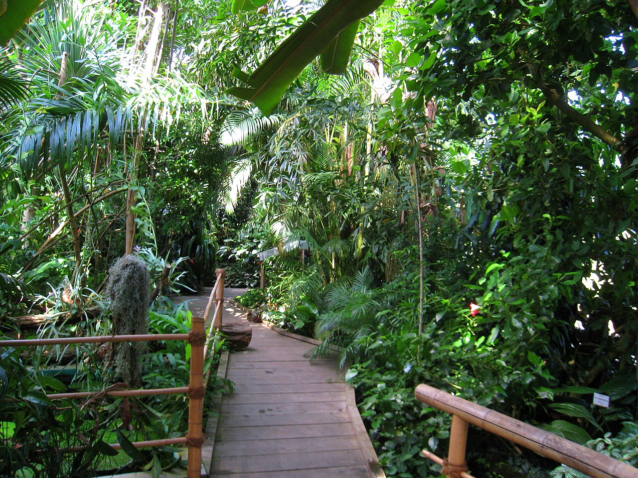 Display glasshouses (Tropenhaus) of the University of Würzburg Botanical Garden, Würzburg, Bavaria