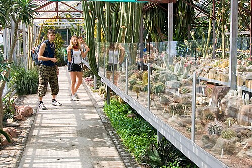 Cactus Orangery, Nikitsky Botanical Garden (Kaktusovaya oranzhereya), Nikita, near Yalta, Crimea