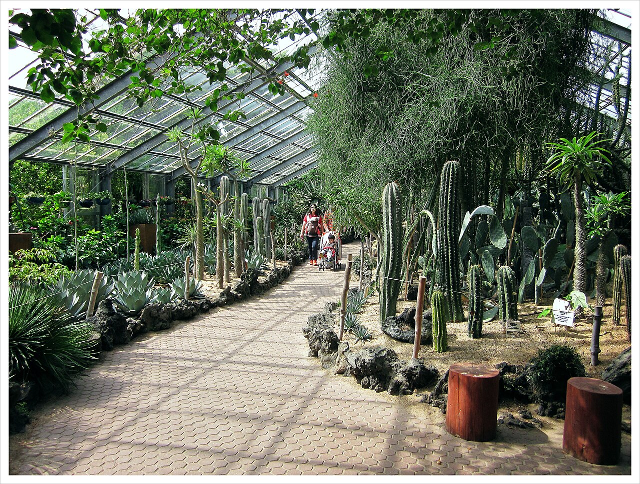 Botanischer Garten Yeomiji, Seogwipo (Jeju)