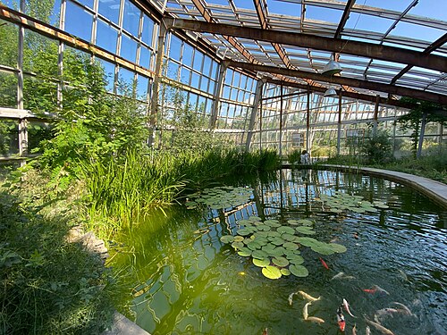 Serres du Jardin botanique d'Erevan, Erevan