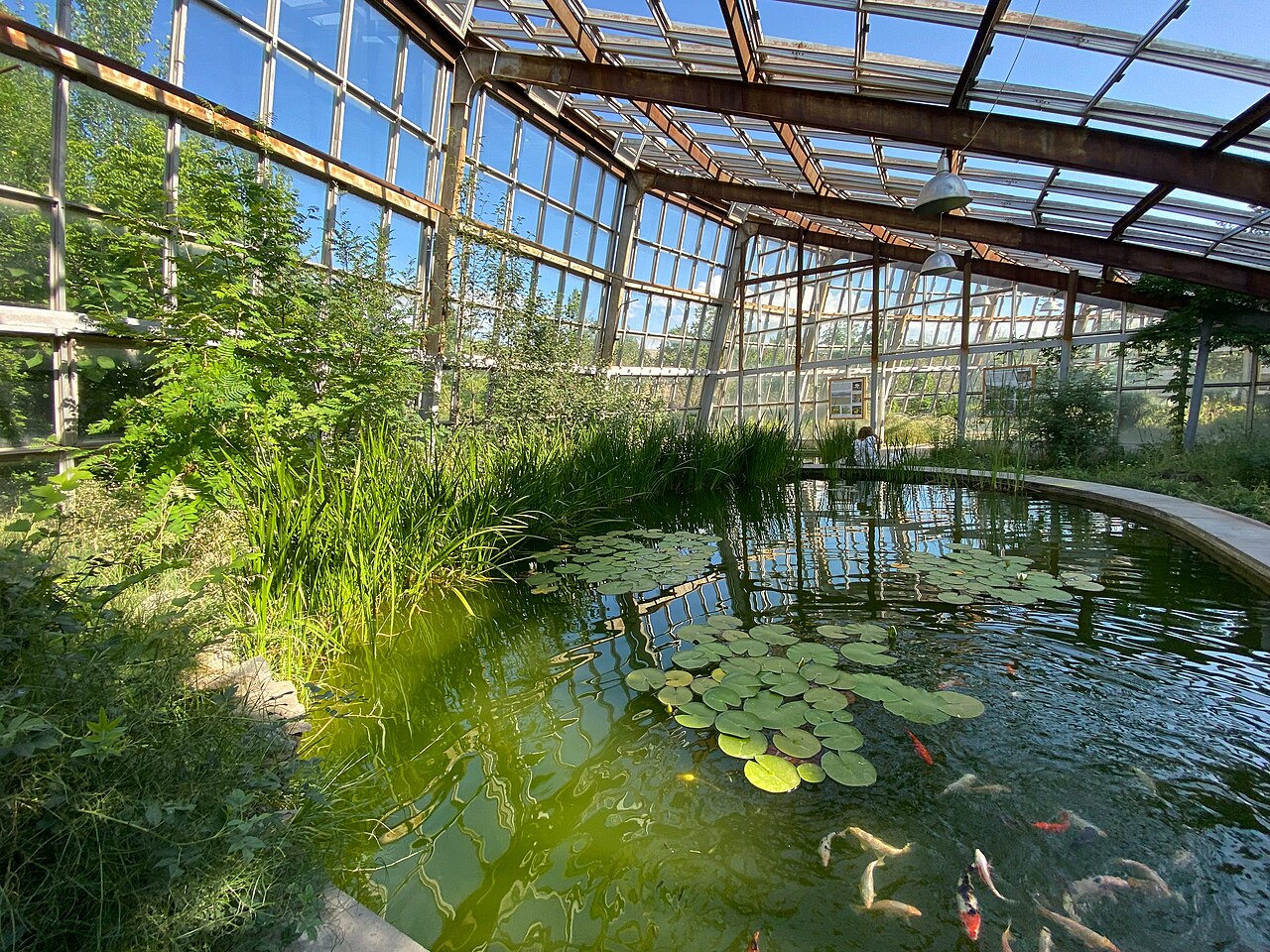 Gewächshäuser des Botanischen Gartens Jerewan, Jerewan