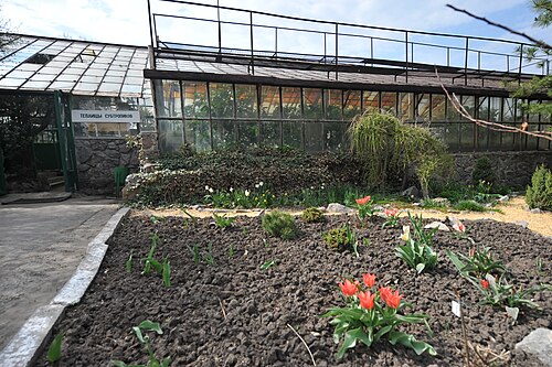 Gewächshäuser des Städtischen Botanischen Gartens für Kinder in Saporischschja (Tropicana, Wintergarten, Cactusarium), Saporischschja