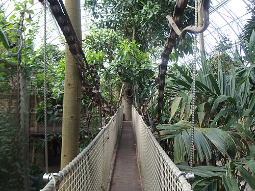 Tropenhalle Yucatán, Zoo Zlín (Tropická hala Yucatan), Zlín (Lešná)